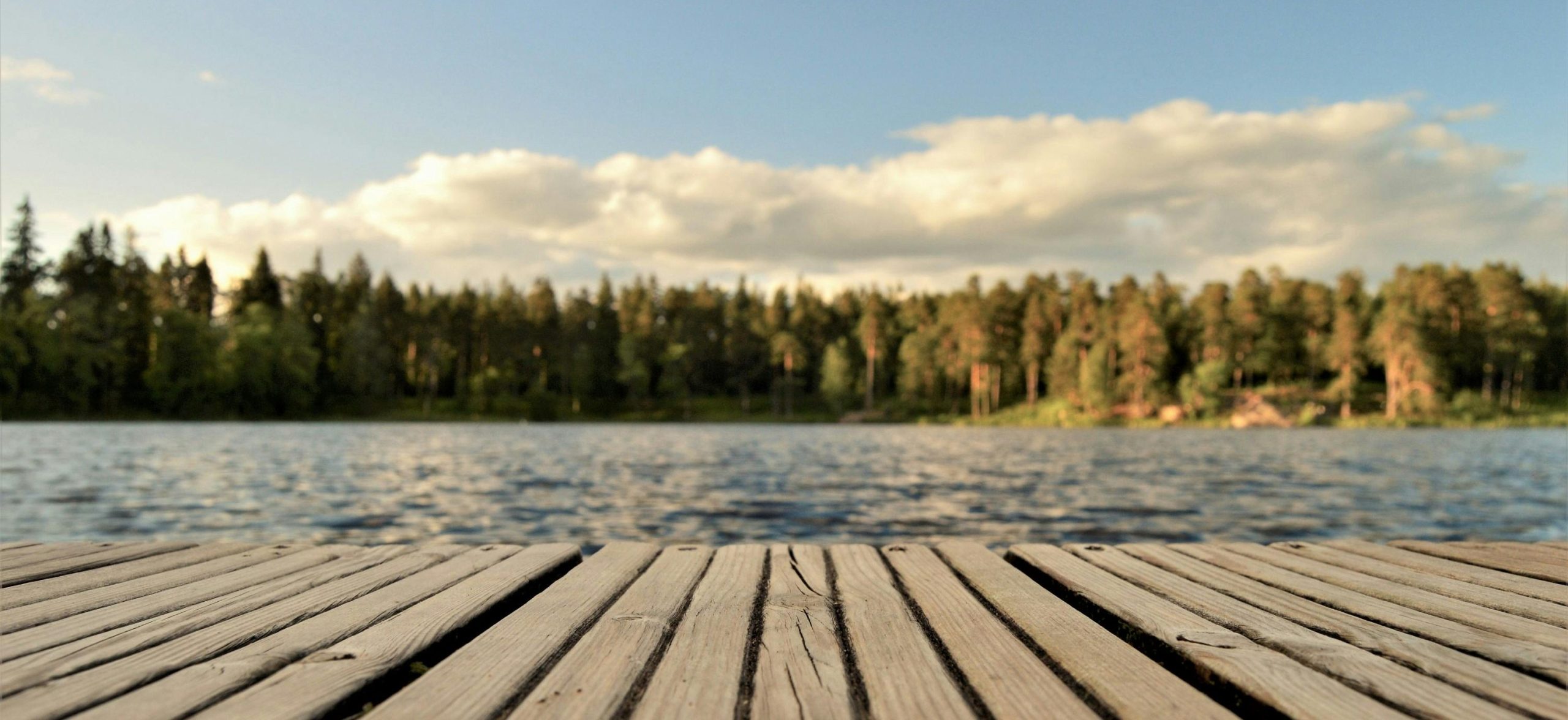 harmoni sommar sommar lugn stockhollm