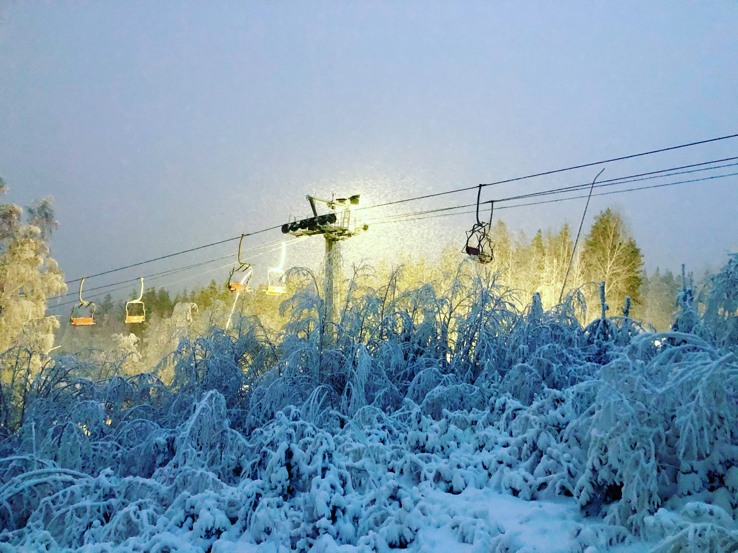 julöppet naprapat stockholm